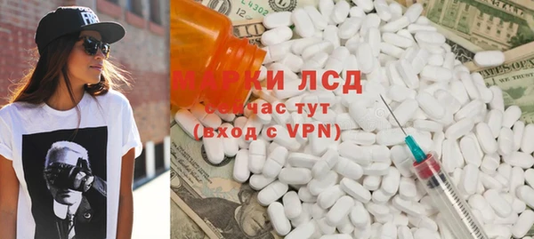 прущие грибы Беломорск