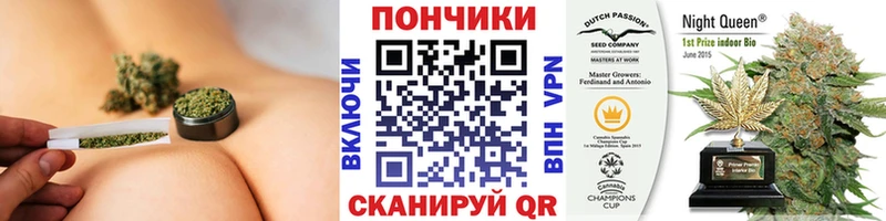 Канабис ГИДРОПОН  Купить закладки  Грайворон 